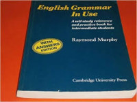 English grammar in use