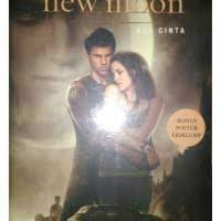 The twilight new moon